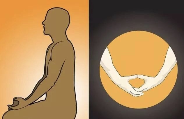 海底轮和生殖轮的连接,太阳轮和生殖轮