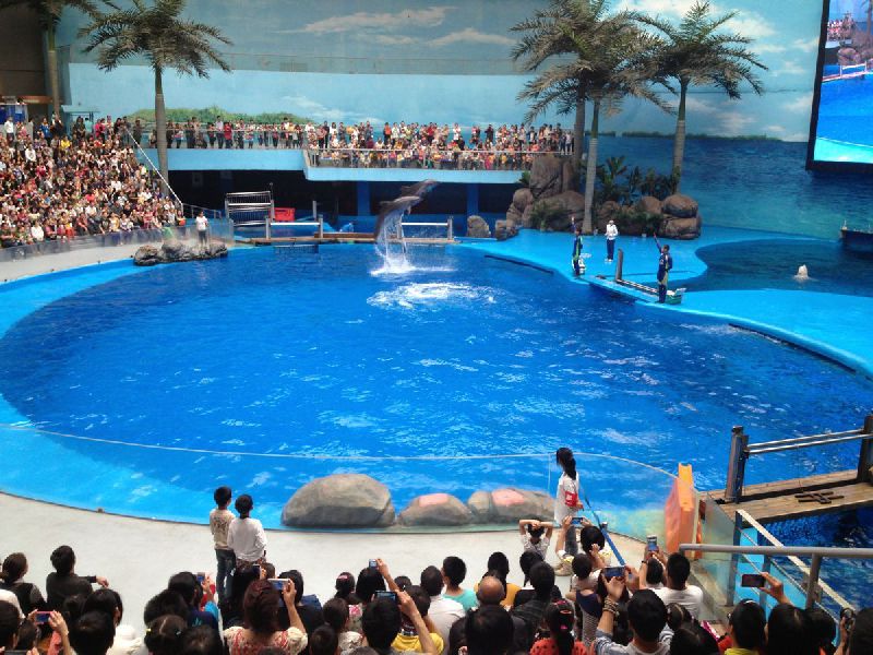 元旦节成都周边游一日游,成都元旦节去哪里玩比较好