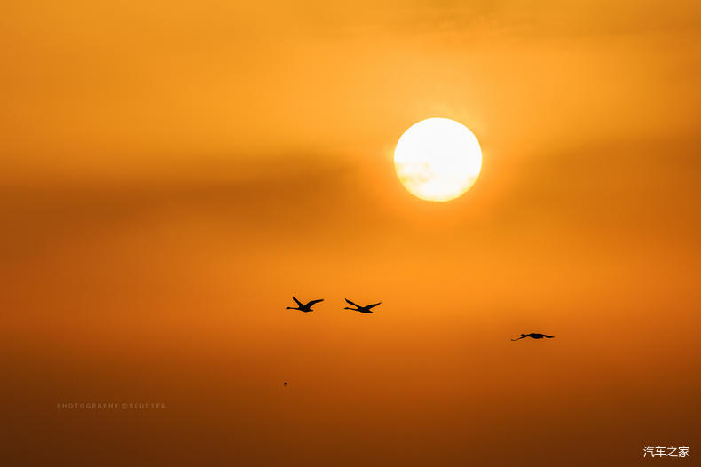 家乡之美美篇,家乡之美原唱完整版