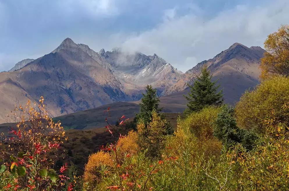 收藏一些自己喜欢的东西,收藏起来你一定用得到