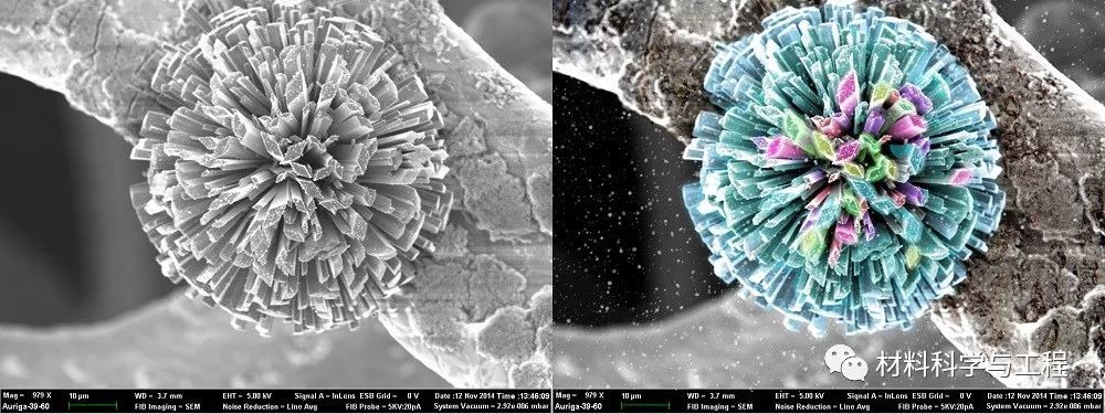 投票表决素材模板,投票素材图片图文