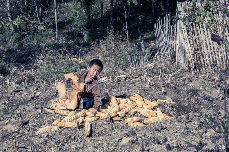 家乡之美美篇,家乡之美原唱完整版