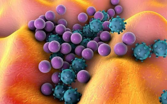 就医搜｜潮湿的环境会诱发风湿热吗？风湿热有哪些症状？