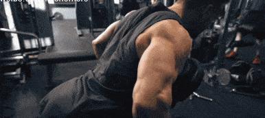 怎样加强背部的上背部训练,背部基础力量训练动作