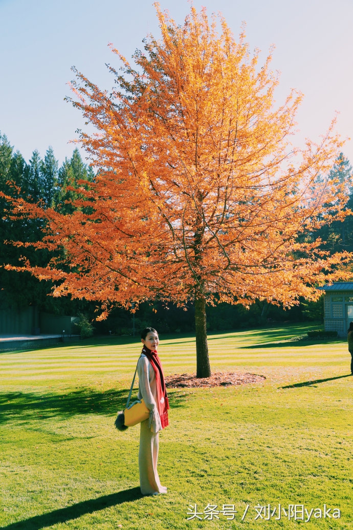 维多利亚水廊旅游,加拿大旅行景点