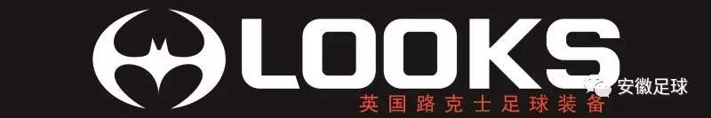 安徽崛起势不可挡,安徽崛起简介