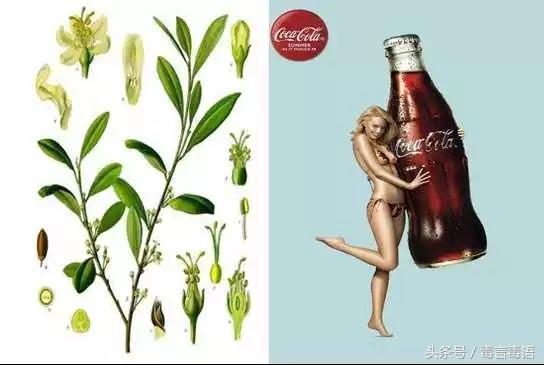 揭密“咔哇潮饮”是怎样从网红饮料变成*品毒**的