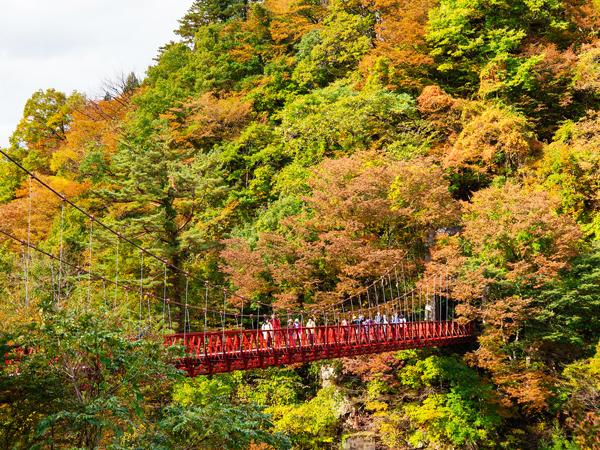 日本jrpass关西周游卡怎么买,上海售全日本jrpass21天周游券