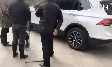 当街杀狗滴血祭新车，网友气炸！
