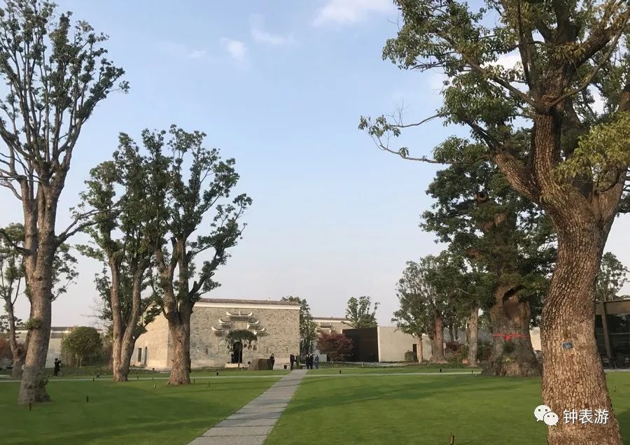 朗格表是什么牌子,顶级朗格表