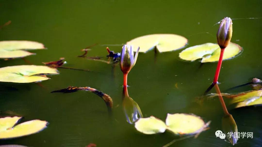 三十岁之前学儒家道家佛家,和佛家学放下过去