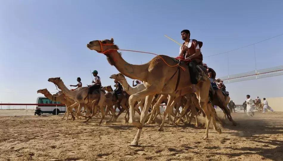 迪拜阿联酋对中国免签吗,阿联酋对中国免签入境多少天