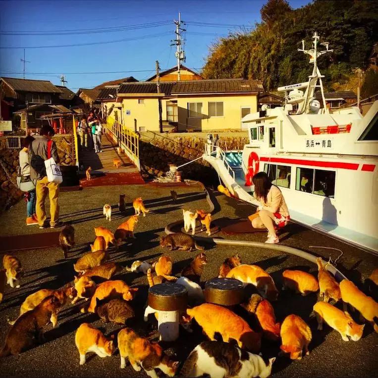 鍥涘浗宀涚箒浣撳瓧,鍥涘浗宀涙湁鍝簺浼犺