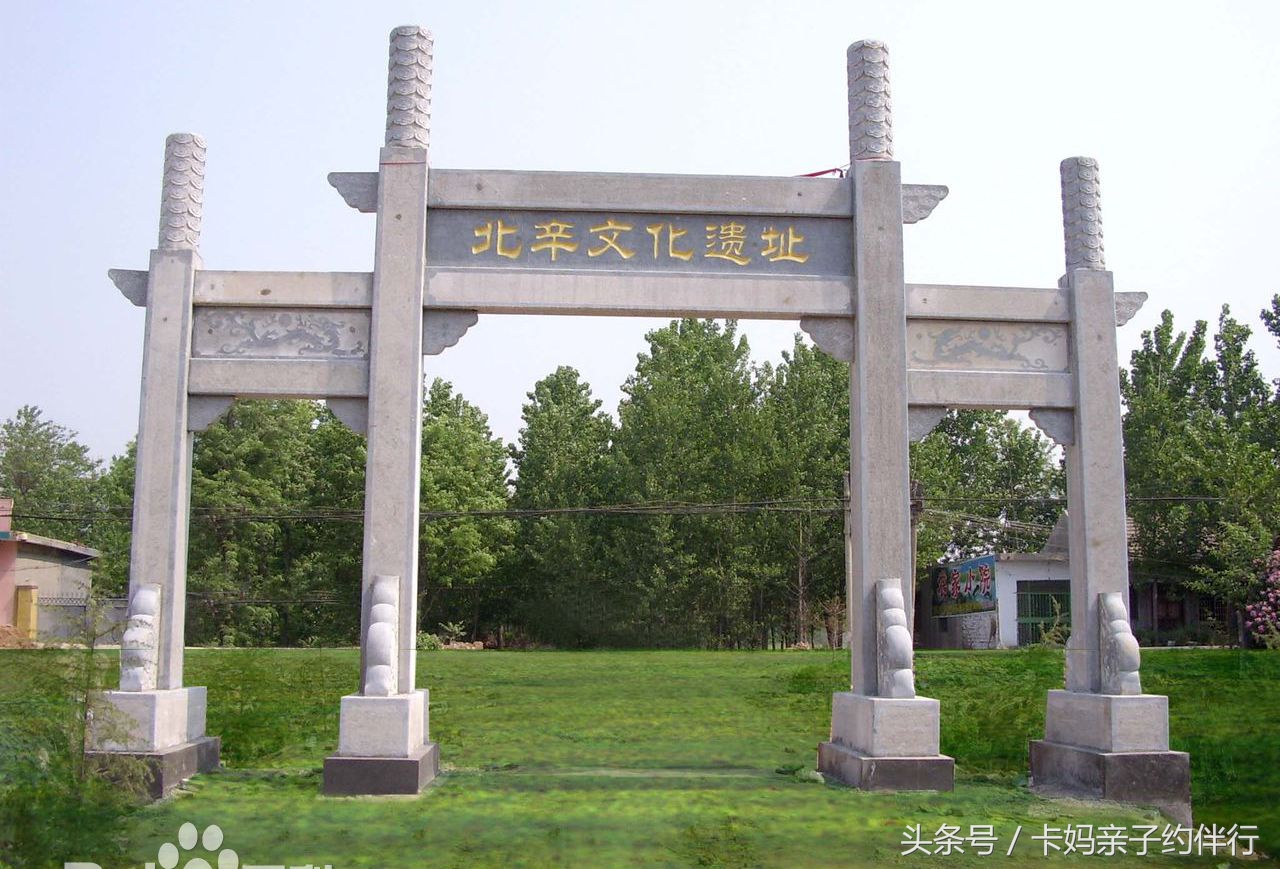 干货收藏150例,干货收藏5分钟