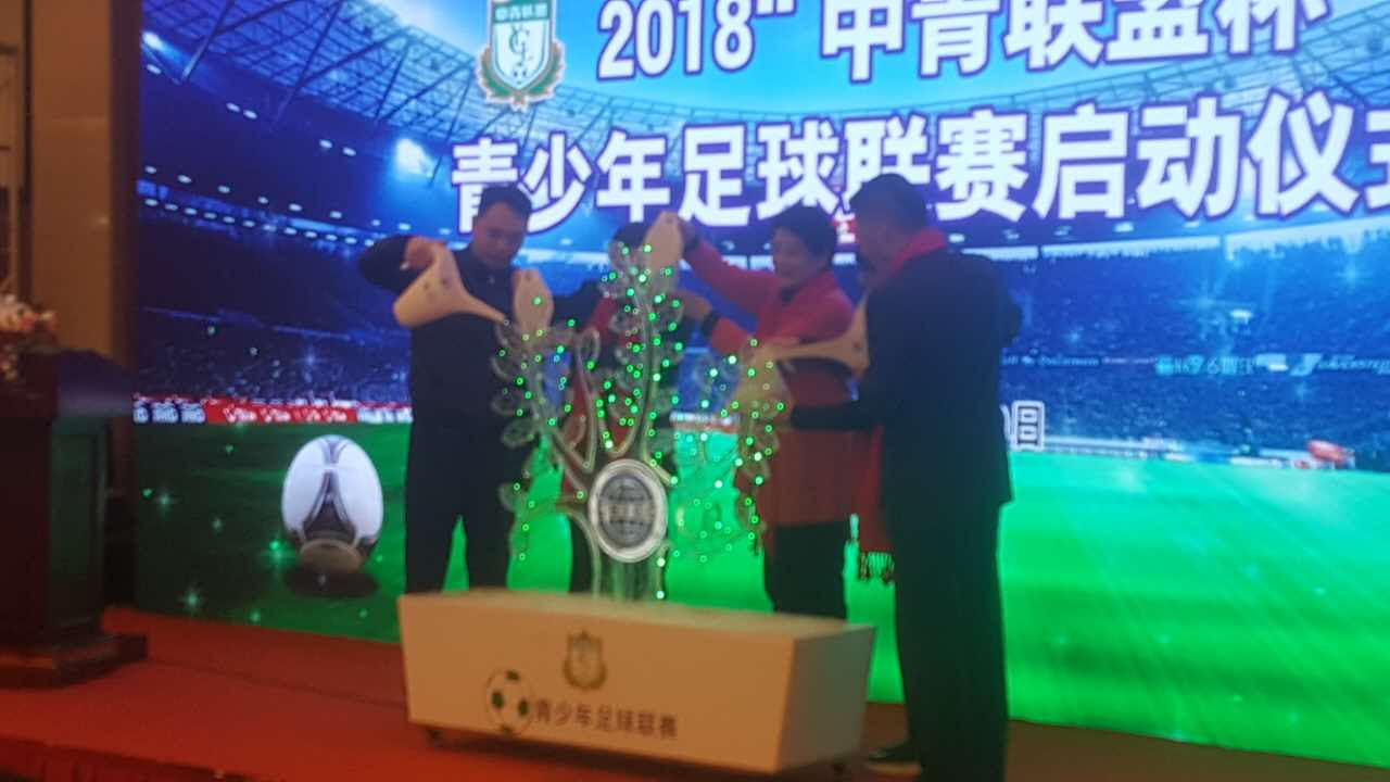 2018中青联盟青少年足球联赛,中青联盟青少年足球联赛