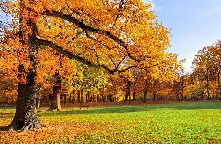 晋升的最佳方案,晋升的三个手段