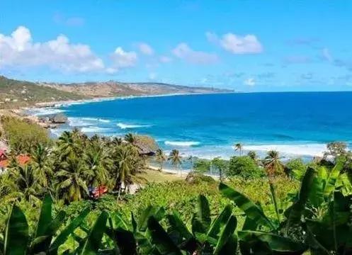 中国护照免签落地签国家,2022中国护照落地签证免签