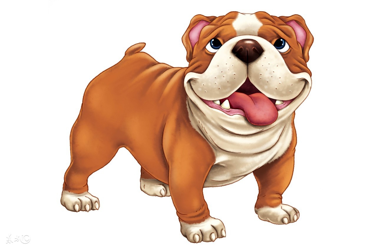 老人过世出殡时本命年要禁忌哪些,属虎本命年貔貅的佩戴十大禁忌