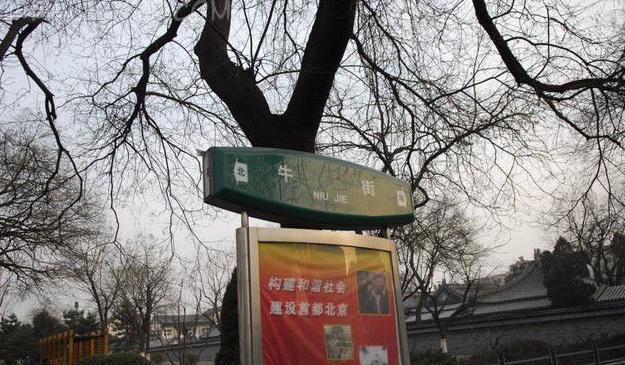 牛街美食推荐前十名,北京牛街值得吃的