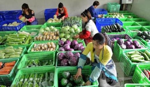 4个低成本项目适合年轻人创业,创业未来最赚钱项目你想知道吗