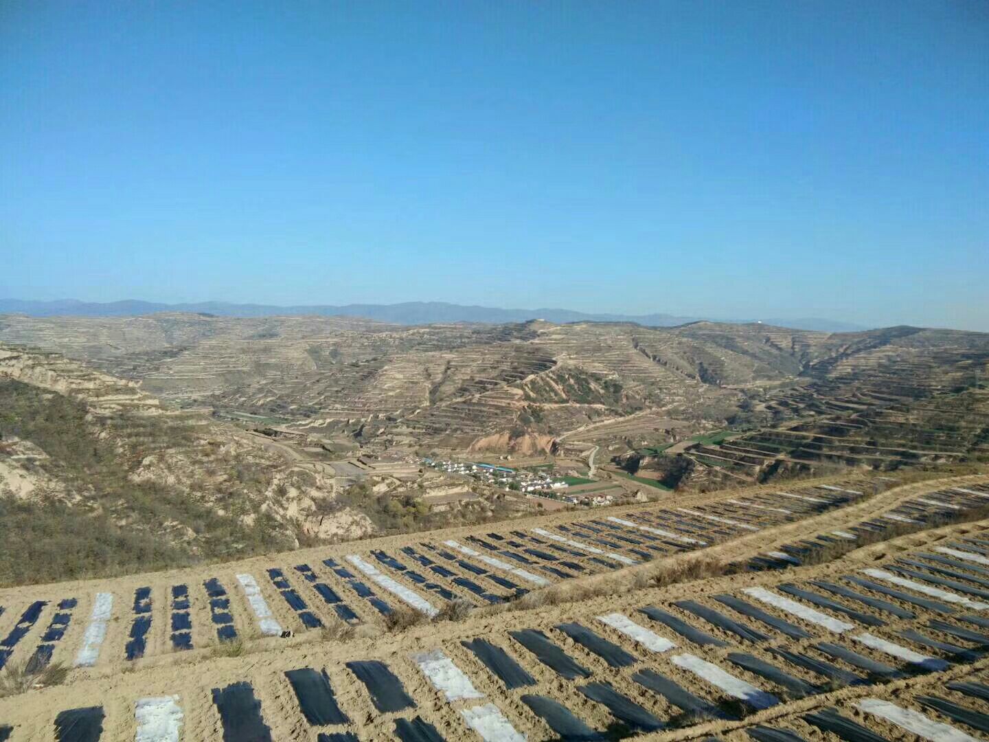 搴勬氮鍘块槼宸濋晣棰嗗鐝瓙,搴勬氮鍘块槼宸濋晣鍏氬涔﹁鏄皝