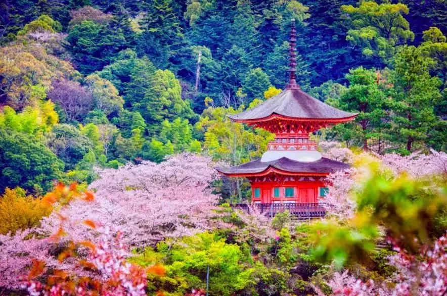 宫崎骏笔下的场景是真实存在的,宫崎骏现实版的场景