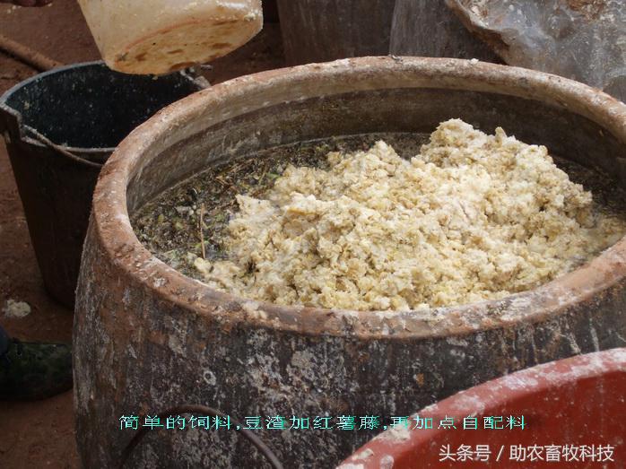 豆渣一吨多少钱,豆渣发酵后多少钱一吨