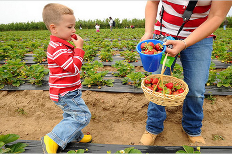 4个低成本项目适合年轻人创业,创业未来最赚钱项目你想知道吗