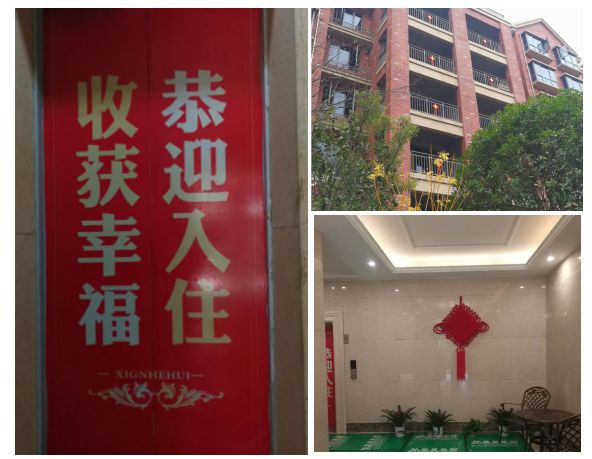 涓厗鏄熸渤姹囦竴鍙疯嫅,鎯婅壋缁芥斁