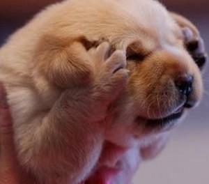 鑰佸笀鎯╃綒浣犵殑鍑犱釜鏂瑰紡,鑰佸笀鍚勭鎯╃綒鎷涘紡