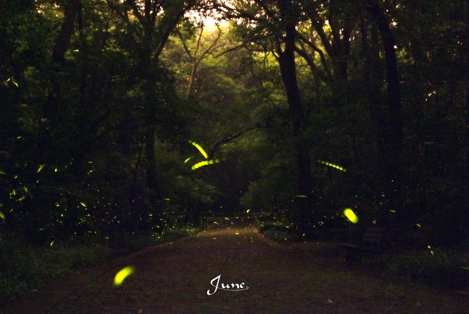 【一只熊的冒险】薄荷色夏日梦，马来西亚沙巴亚庇仙本那历险记——敦沙卡兰海洋公园（完）