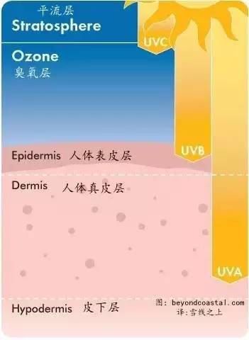 袋鼠妈妈防晒霜孕妇可以用吗,孕妇用防晒霜推荐
