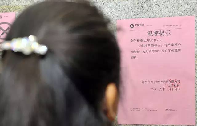 50个恐怖电梯故事,用动画讲述真实的电梯恐怖故事