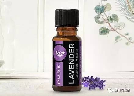 女人必备的三样化妆品,女人必备三大化妆品