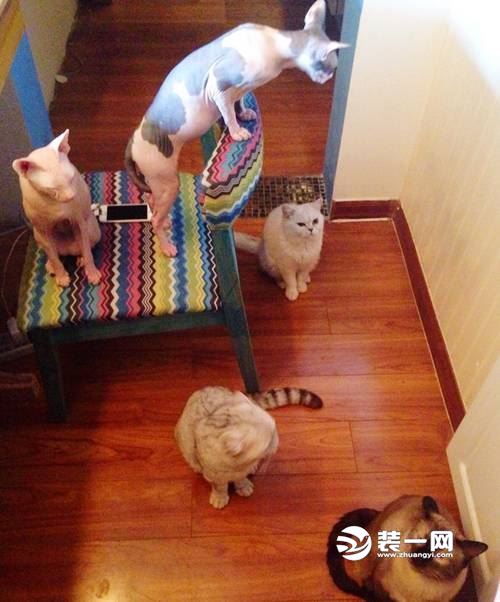 银川好吃性价比高的餐厅,银川好吃的情调餐厅