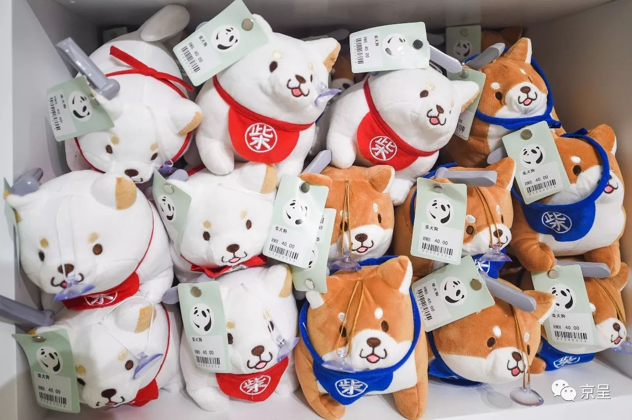 鹈鹕树懒食蚁兽?北京这家非主流玩偶店教你认认新萌物