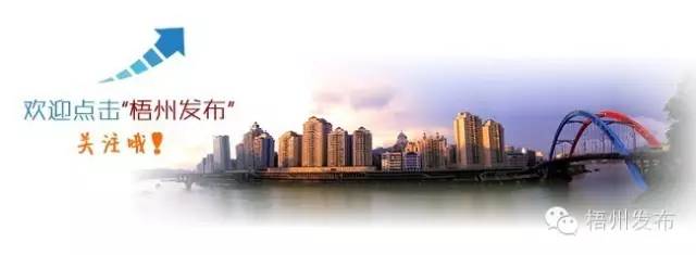 政府采购实现降本增效,规范和加强政府采购管理工作汇报