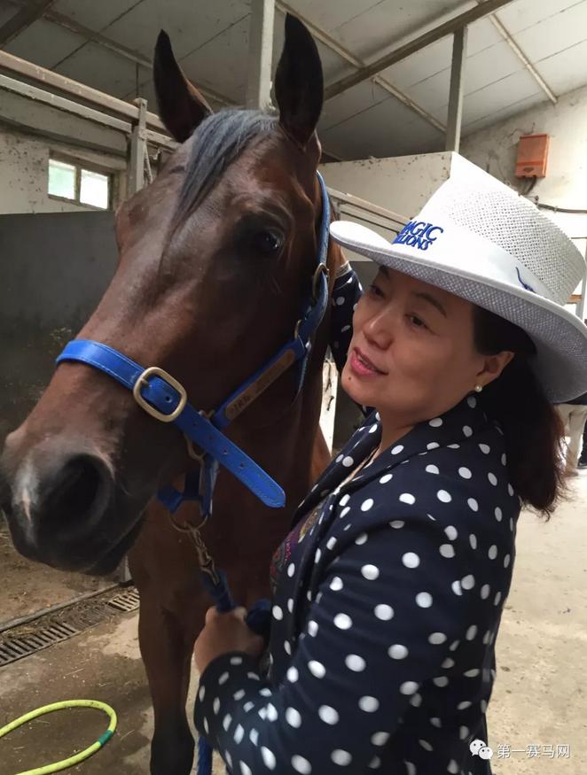 女马主专享,“雅士牧场”女士马主计划已开启