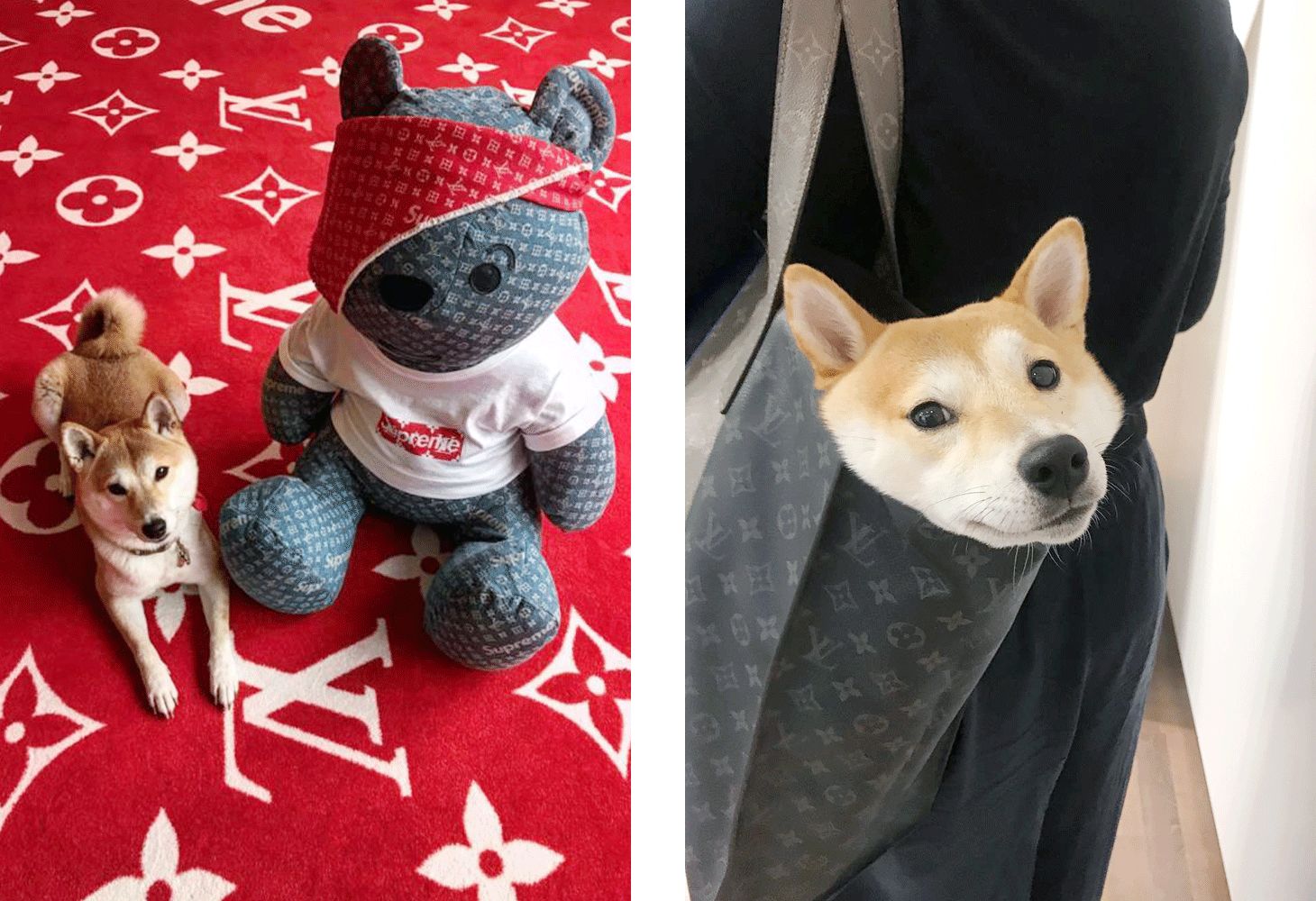 去年没放过鸡,今年这些品牌又开始虐狗了