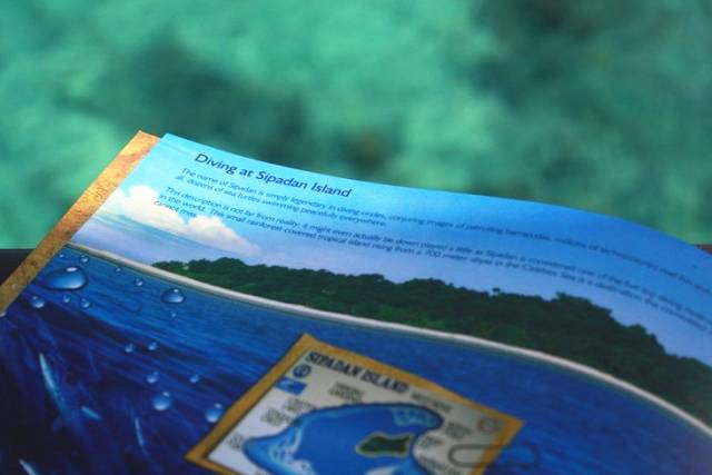 恋与制作人伴你身边,恋与制作人在你身边选谁比较好