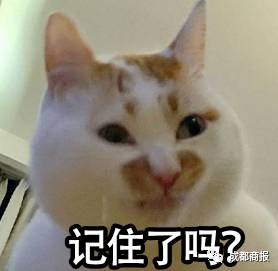 痛心男孩被狗咬后去世,8岁男孩疑因狂犬病死亡家属