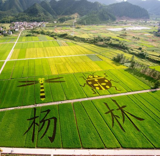 浙江省各地乡村旅游排名,浙江乡村游玩
