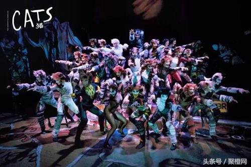 关于猫成精的那些事22,关于猫成精的那些事16