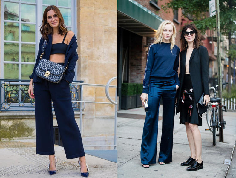 深蓝牡丹性格,富贵牡丹蓝