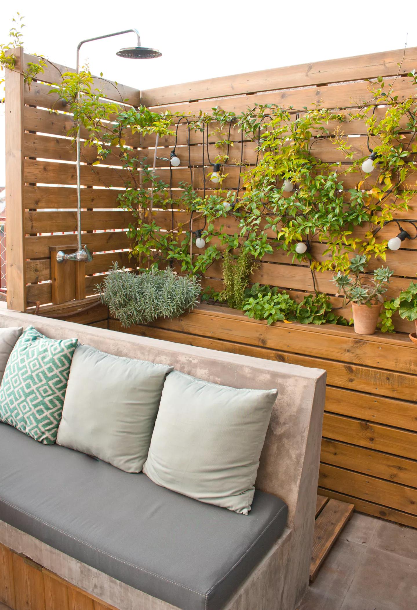 11层顶楼带阁楼露台,顶层带阁楼露台和底层带院子