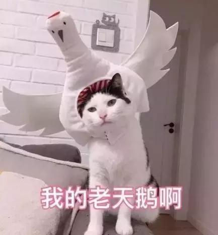 婴儿秋冬面霜十大排名保湿,儿童面霜保湿滋润秋冬6-12岁