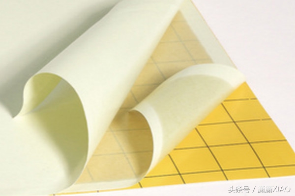 家里有虫鼠出没怎么办，告诉大家几个小妙招