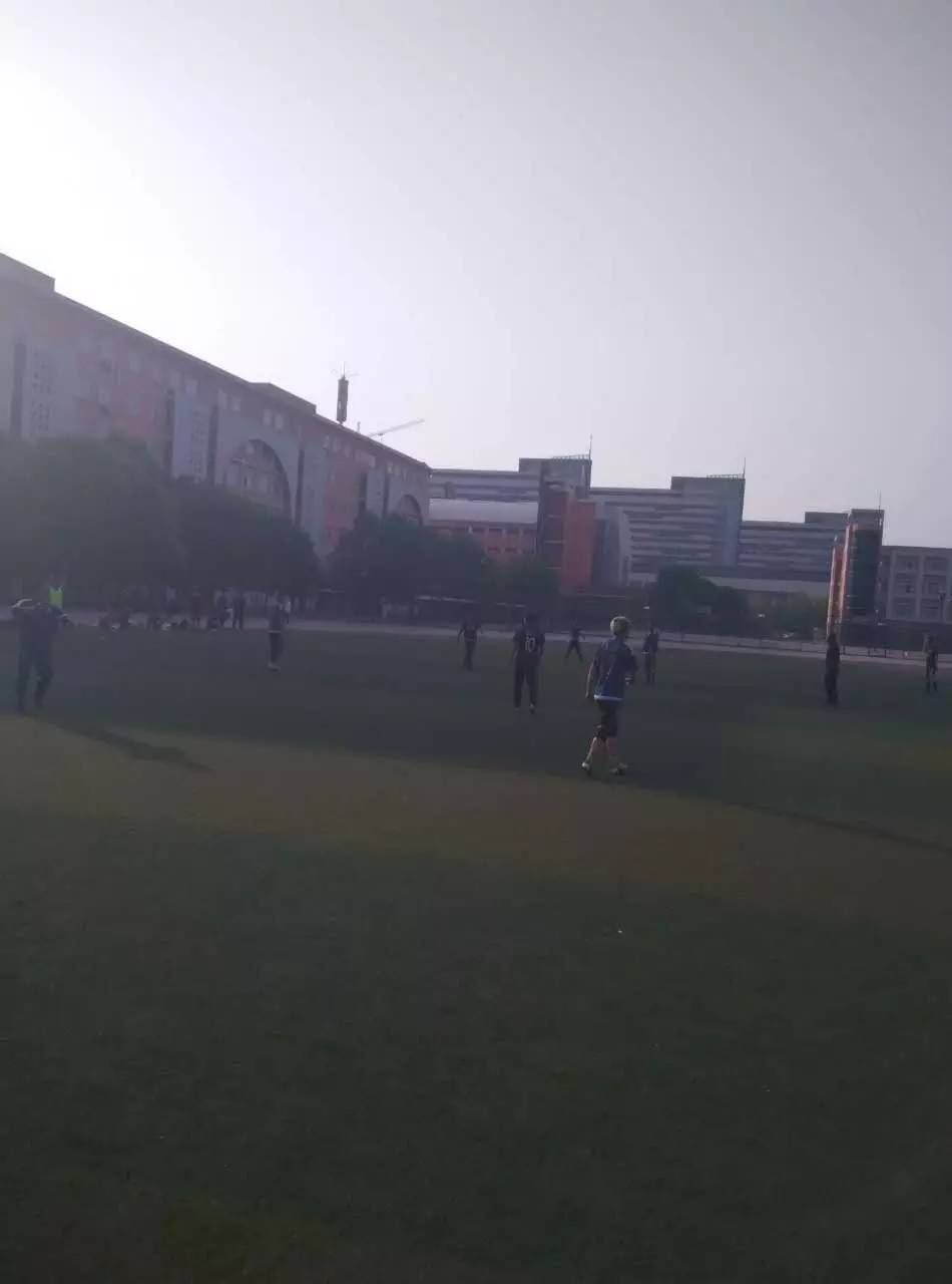 足球新赛季战报,新赛季战报