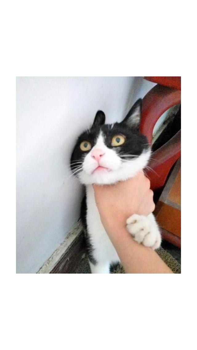 网络兼职真的可以月入万元吗,怎样才能通过网络兼职快速挣钱呢