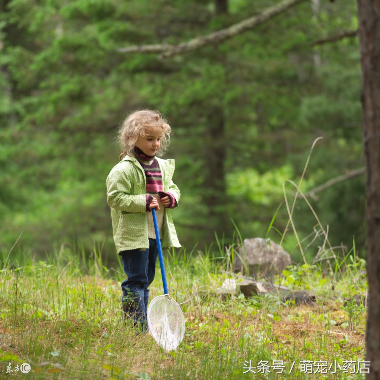 宠物肾衰竭一定要输液吗,宠物医生肾衰竭